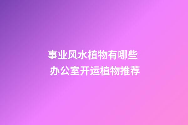 事业风水植物有哪些  办公室开运植物推荐